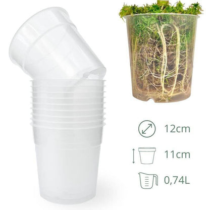 Lot x10 Pots Transparents - plantandstories