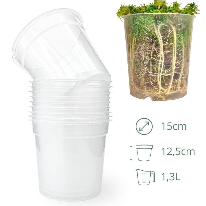 Lot x10 Pots Transparents - plantandstories