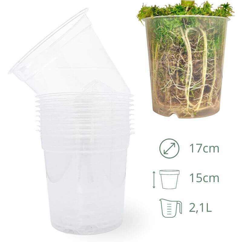 Lot x10 Pots Transparents