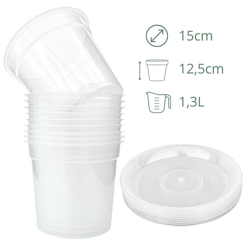 Lot x10 Pots Transparents - plantandstories