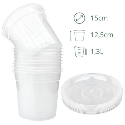 Lot x10 Pots Transparents - plantandstories