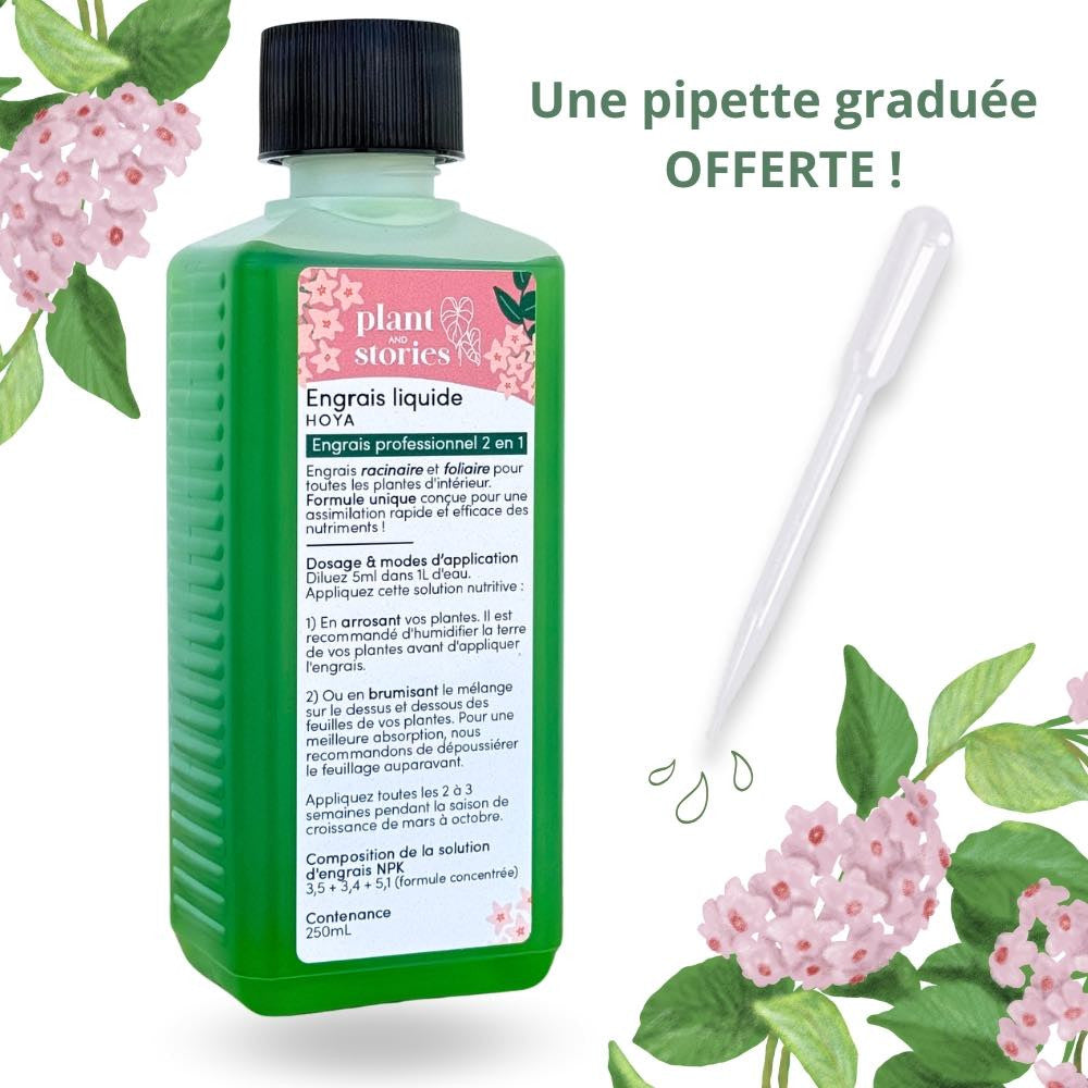 Bouteille d'engrais liquide Hoya de 250ml et sa pipette graduée, sur fond de fleurs de hoya roses et feuilles vertes