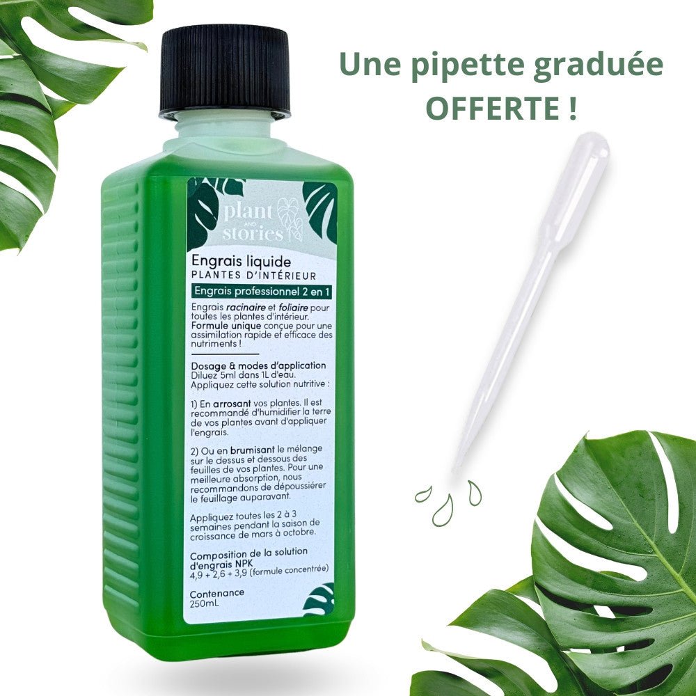 hoya plant food professional fertilizer Hoya Indoor Plant Fertilizer Duo with Pipettes – plantandstories