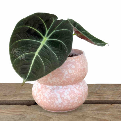 Cache-pot "Bulle" en céramique – 9 cm de diamètre