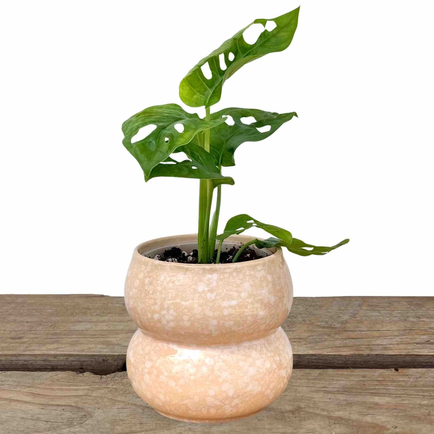 Cache-pot "Bulle" en céramique – 9 cm de diamètre