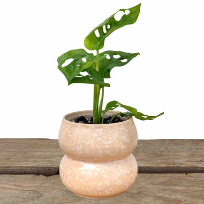 Cache-pot "Bulle" en céramique – 9 cm de diamètre