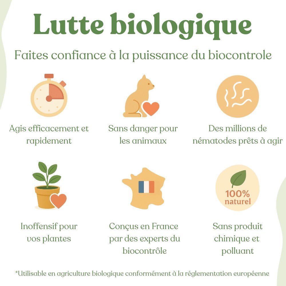Nématodes Felti (SF) - Anti moucherons - Anti Sciarides - plantandstories