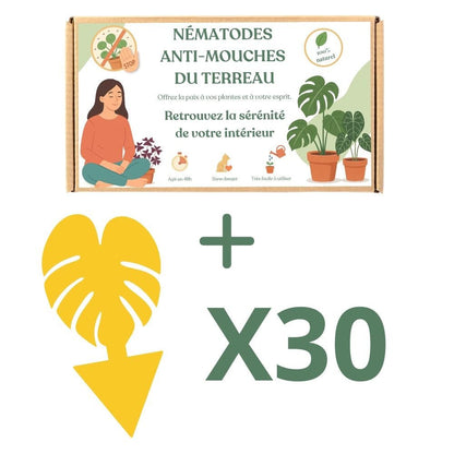 Nématodes Felti (SF) - Anti moucherons - Anti Sciarides - plantandstories