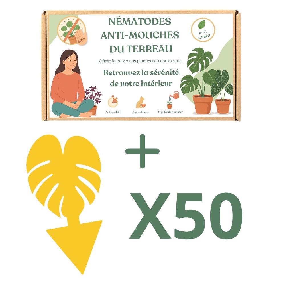 Nématodes Felti (SF) - Anti moucherons - Anti Sciarides - plantandstories
