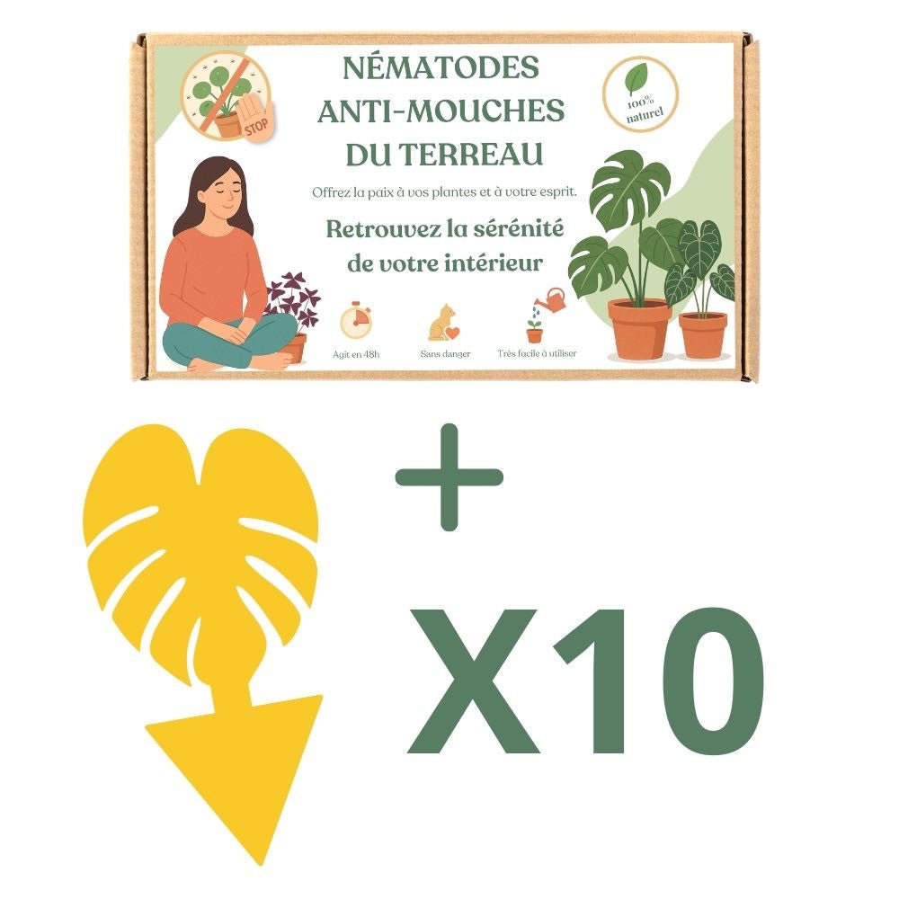 Nématodes Felti (SF) - Anti moucherons - Anti Sciarides - plantandstories