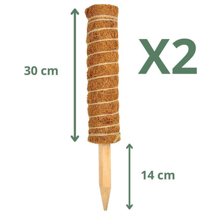 Lot X2 Tuteurs empilables pour plantes en fibres de coco + 1m ruban velcro Offert - Support pour plantes grimpantes - plantandstories
