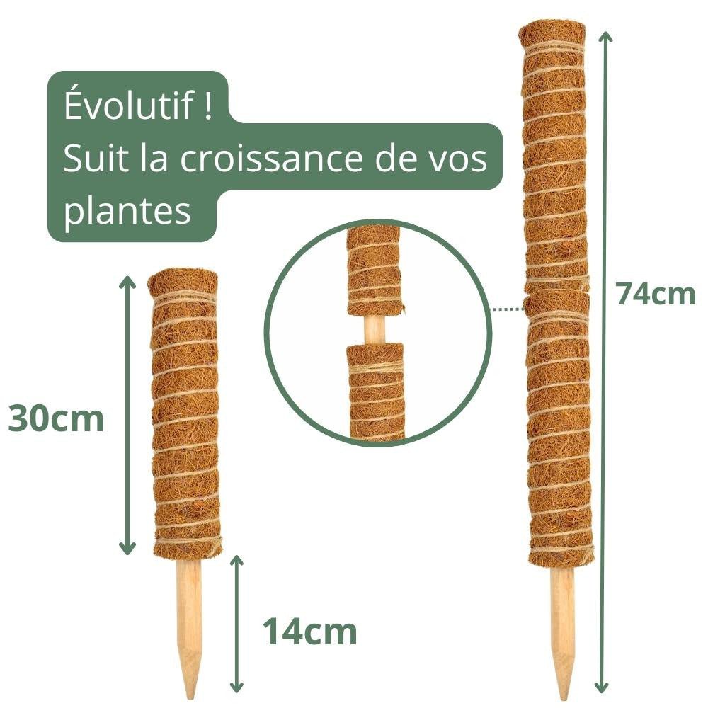Lot X2 Tuteurs empilables pour plantes en fibres de coco + 1m ruban velcro Offert - Support pour plantes grimpantes - plantandstories
