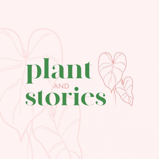 Logo Plant and Stories sur fond rose pale avec illustration de feuilles et texte vert