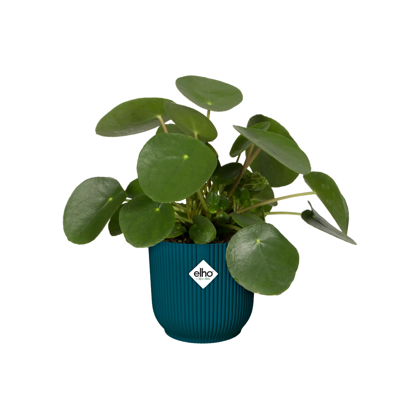 Vibes Fold Round Pot Planter Elho