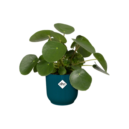Vibes Fold Round Pot Planter Elho