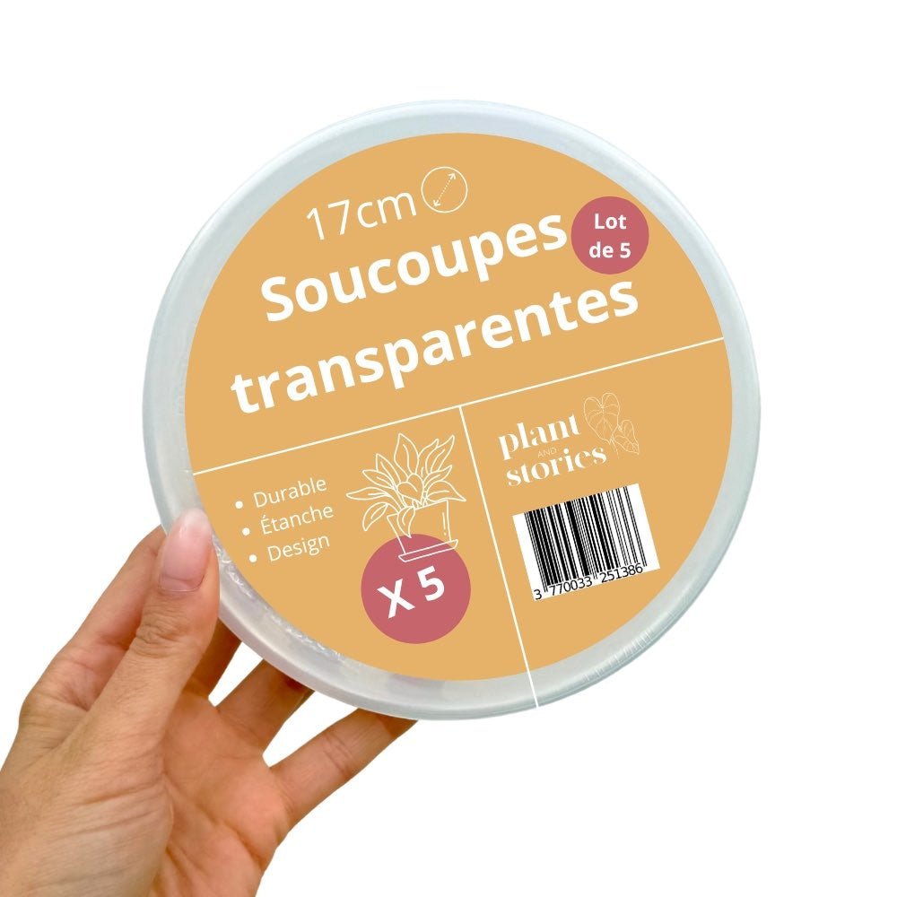 Pack de 50 Soucoupes transparentes pour plantes - Soucoupes rigides - Coupelles pour plantes - plantandstories