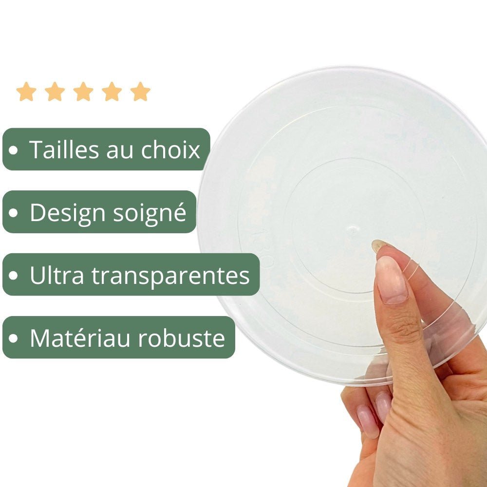 Pack de 50 Soucoupes transparentes pour plantes - Soucoupes rigides - Coupelles pour plantes - plantandstories