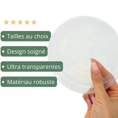 Soucoupes transparentes pour plantes - Soucoupes rigides - Coupelles pour plantes - plantandstories