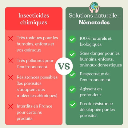 Nématodes Carpo - Anti Thrips - Nématodes contre thrips - plantandstories