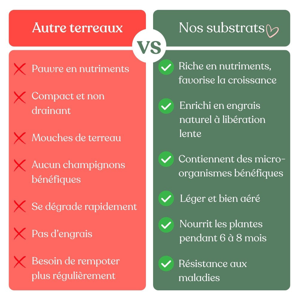 Terreau Hoya Premium - Enrichi en Mycorhize et Bacillus - Fabriqué en France