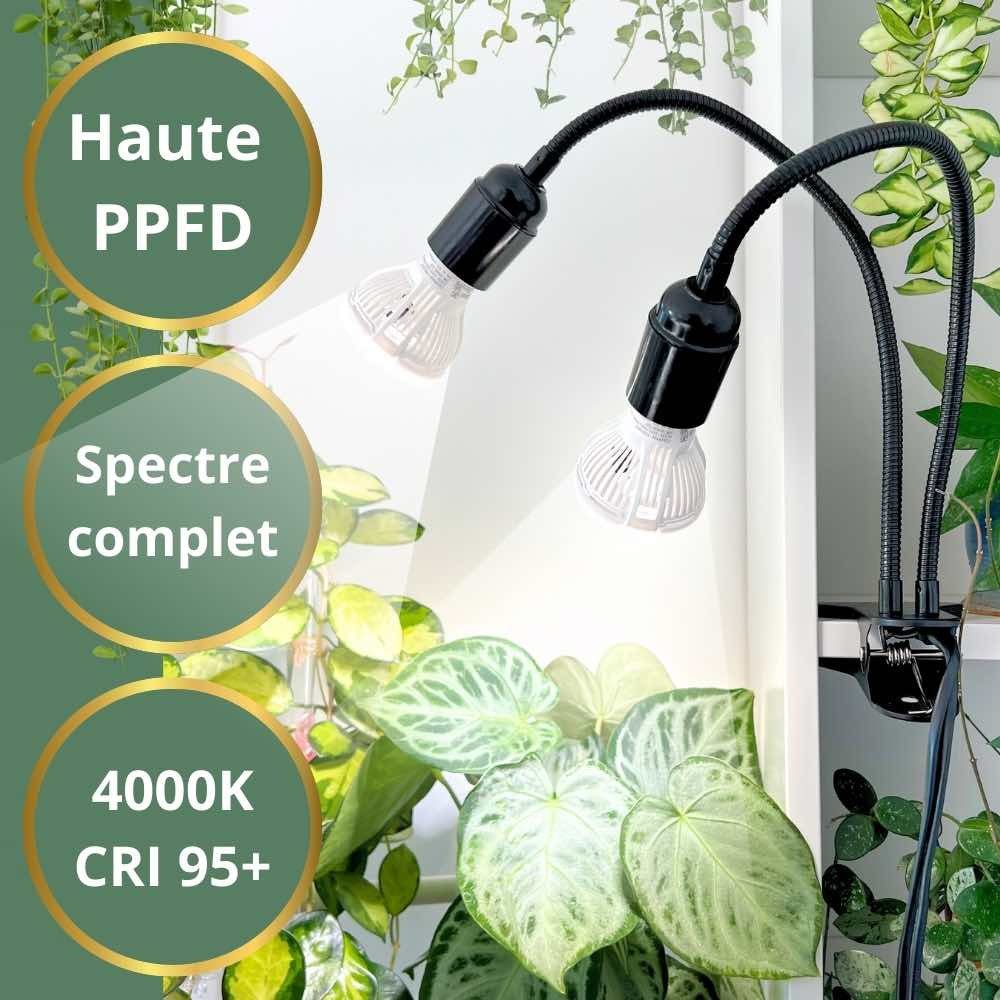 Lampe horticole pour plantes d'intérieur - Lampe de croissance horticole - Lampe pour plantes à spectre complet 2 ampoules - plantandstories