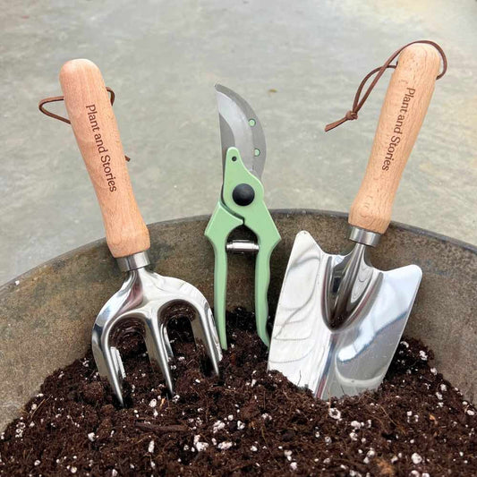 Kit d'outils de jardinage avec un transplantoir, une petite griffe et un sécateur vert, dans un pot rempli de terreau