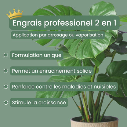 Duo - Substrat universel 10L + Engrais liquide universel 250ml + pipette gradée offerte - plantandstories