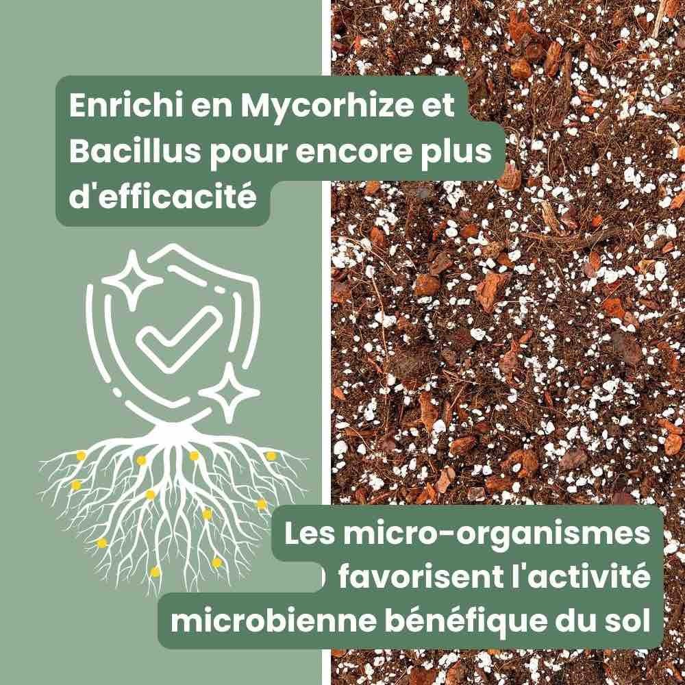 Duo - Terreau Hoya Premium 4L + Engrais liquide spécial Hoya 250ml + Pipette graduée offerte - plantandstories