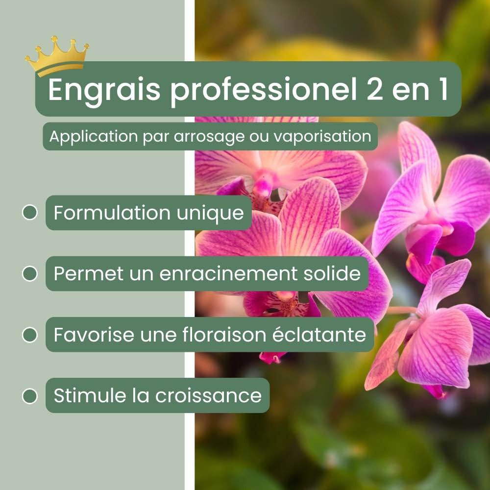 Duo - Terreau Orchidée Premium 4L + Engrais liquide spécial Orchidée 250ml + Pipette graduée offerte - plantandstories