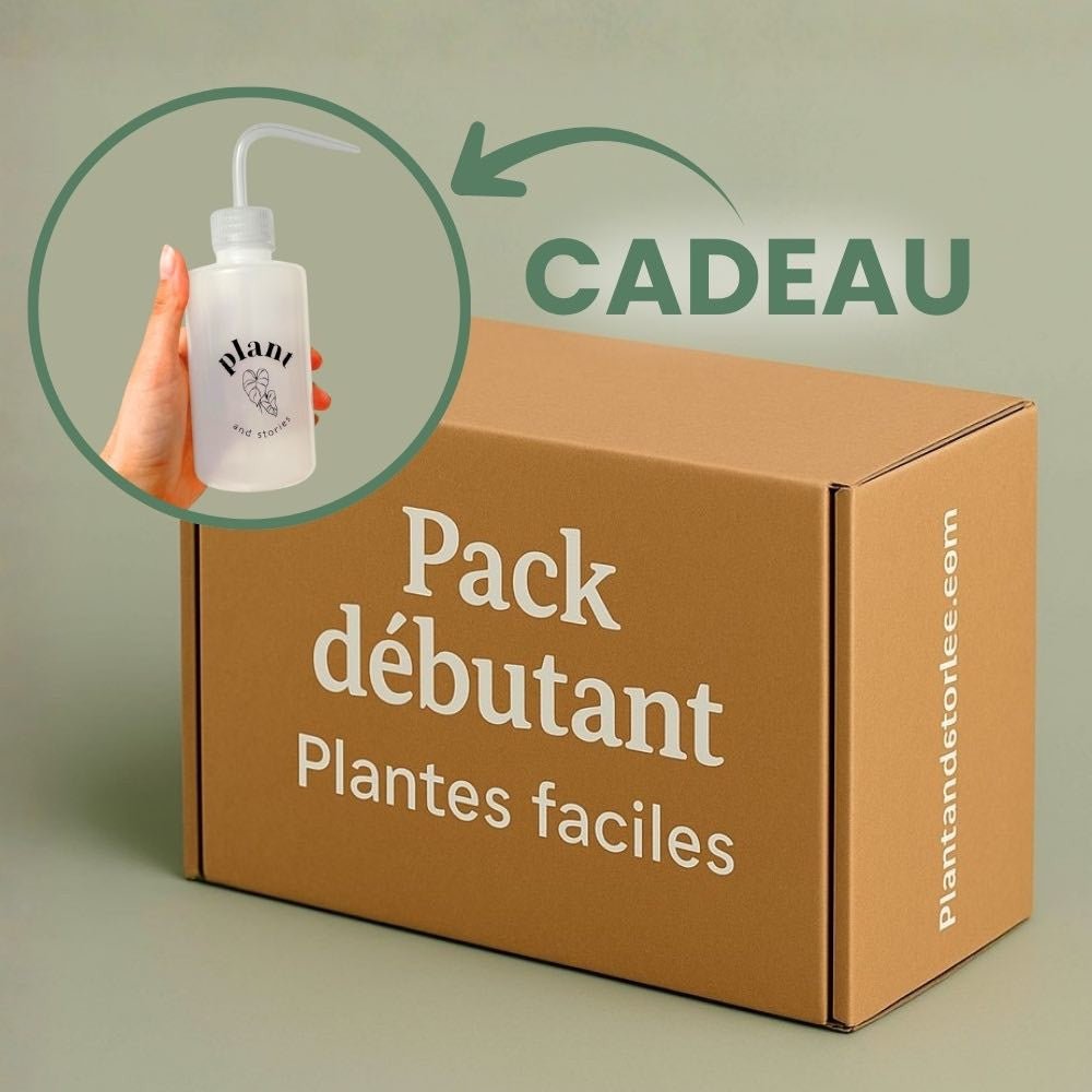 Une pipette blanche Plant and Stories est offerte avec un pack débutant de plantes d'intérieur faciles