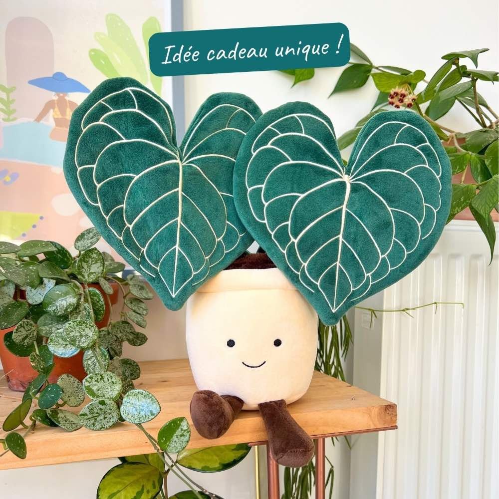 プラティセリウム スリナリウム surinnarium吊り鉢 ① Anthurium Clarinervium Plush Toy – Limited Edition, Plant and Stories