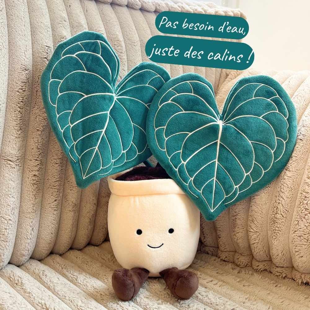 Anthurium Clarinervium Plush Toy – Limited Edition, Plant and Stories