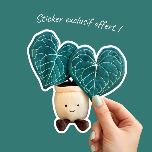 PRÉVENTE - Peluche Clari - Livraison fin - avril - Sticker exclusif offert - Seconde édition réclamée par nos clients - plantandstories