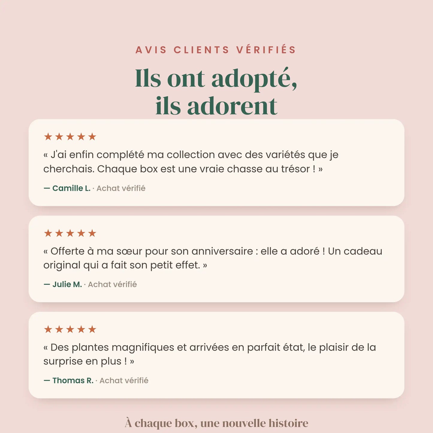 Avis clients 5 étoiles sur la Box surprises Plant and Stories : plantes magnifiques, idée cadeau et collection complétée.
