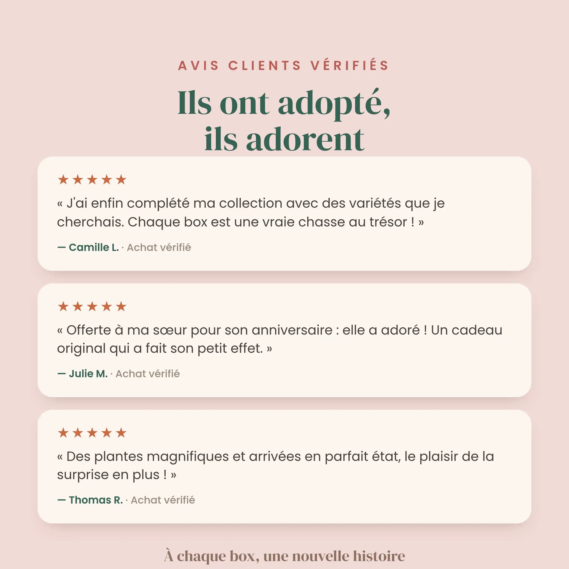 Avis clients 5 étoiles sur la Box surprises Plant and Stories : plantes magnifiques, idée cadeau et collection complétée.