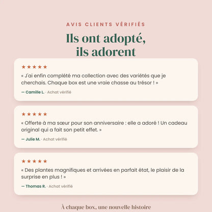 Avis clients 5 étoiles sur la Box surprises Plant and Stories : plantes magnifiques, idée cadeau et collection complétée.