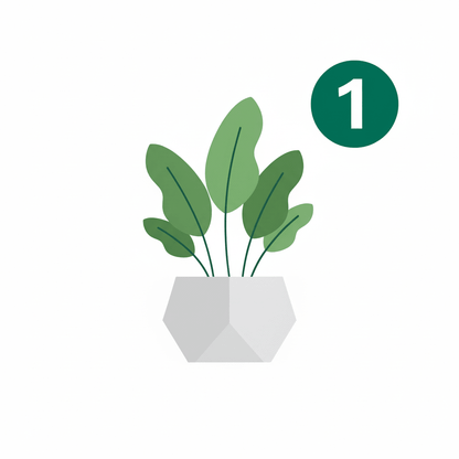 Plante verte du lot de Monstera Obliqua Peru dans un pot géométrique gris clair