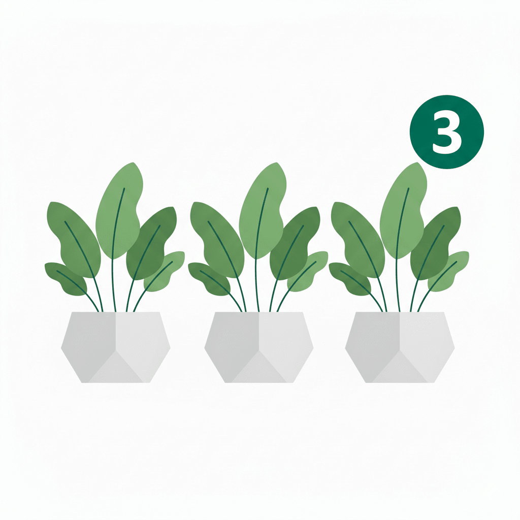 Trois plantes vertes de Monstera Obliqua Peru en lot dans des pots géométriques gris clair sur fond blanc