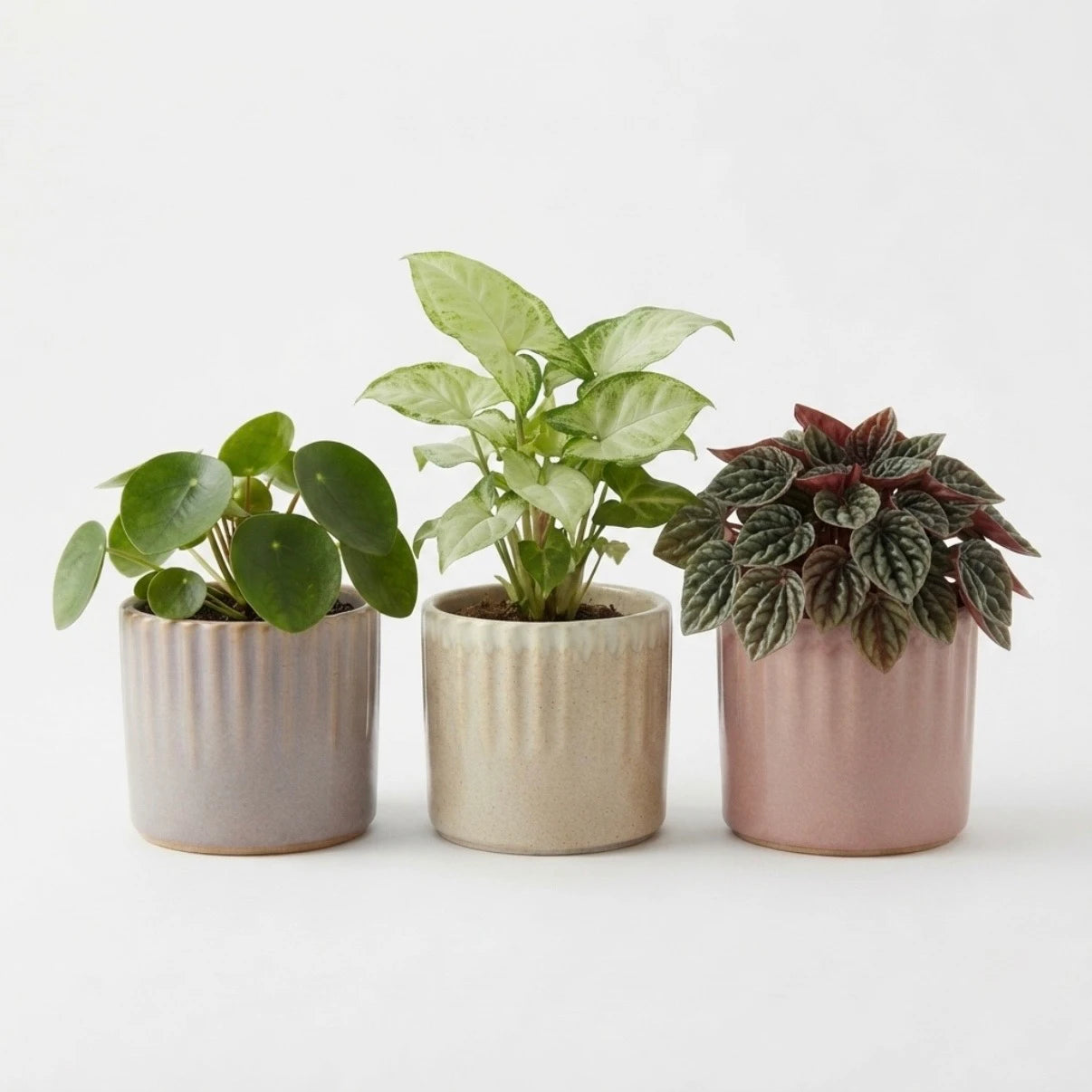 Lot De 3 Cache-Pots Céramique Striés