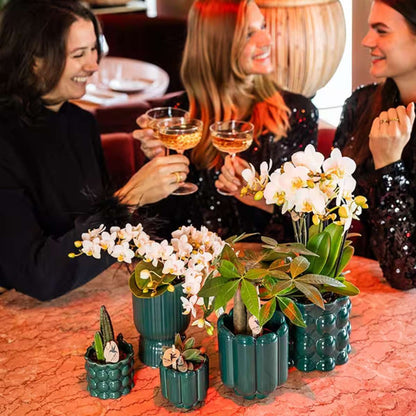 Lot de 2 ou 4 orchidées blanches Phalaenopsis 'Nazaré' - Pot 9 cm
