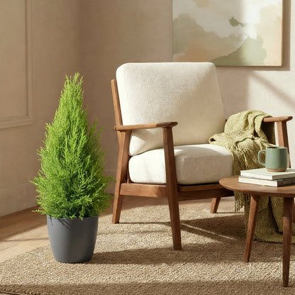 Cupressus Gold Crest Wilma lumineux dans un cache-pot gris, posé sur un tapis en jonc de mer, à côté d'un fauteuil et d'une table basse en