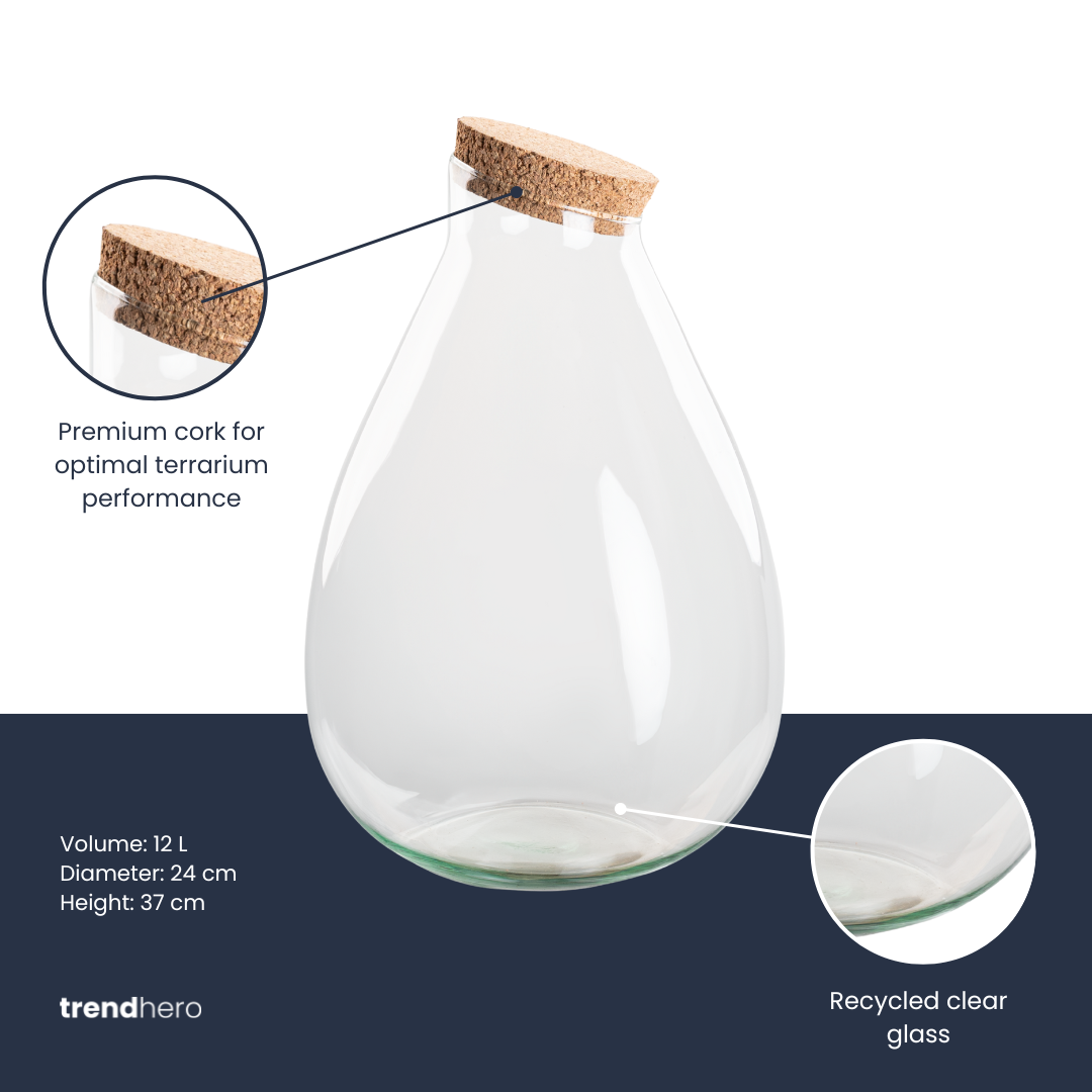 Bouteille terrarium en forme de goutte en verre recyclé avec bouchon liège, 2 tailles