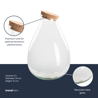 Bouteille terrarium en forme de goutte en verre recyclé avec bouchon liège, 2 tailles