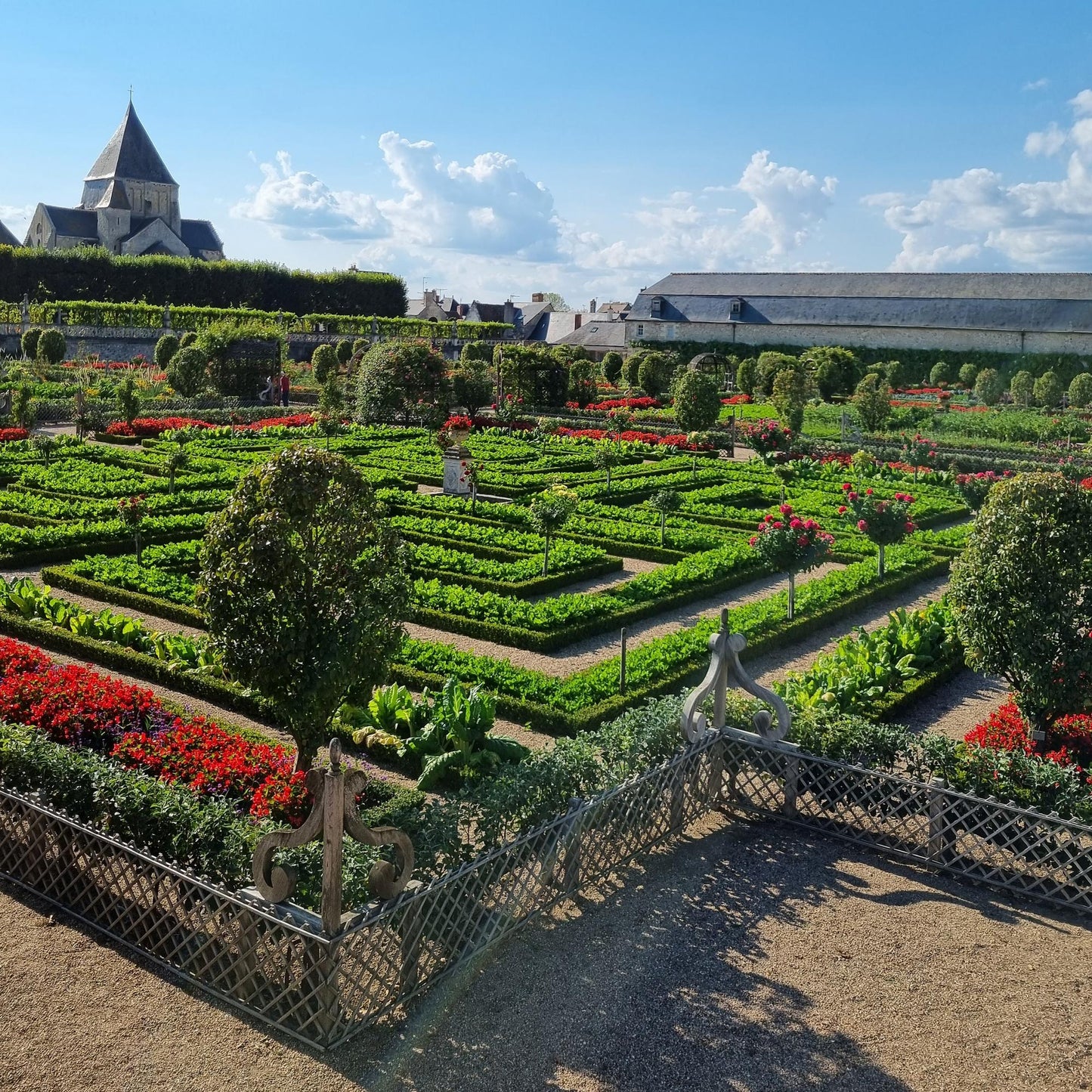 Buxus Boule BetterBuxus Skylight en situation, un magnifique jardin à la française avec des parterres de fleurs et des buis taillés.
