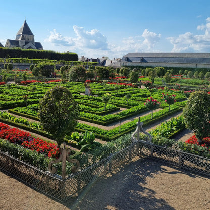 Buxus Boule BetterBuxus Skylight en situation, un magnifique jardin à la française avec des parterres de fleurs et des buis taillés.