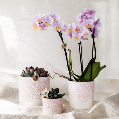Cache-pot céramique en relief floral - courbes douces et coloris tendres - rose