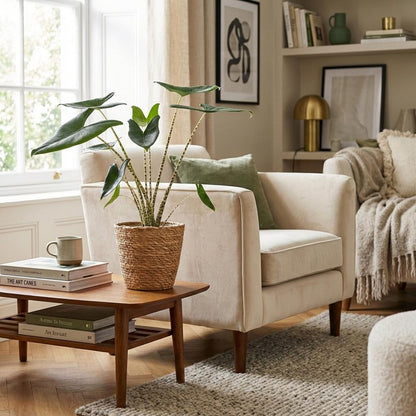 Plante d'intérieur - Alocasia Zebrina - Oreille d'éléphant - Groen - Peu d'entretien - 1 Plante - avec Panier - Pot 21 cm - Hauteur 70 - 75 cm