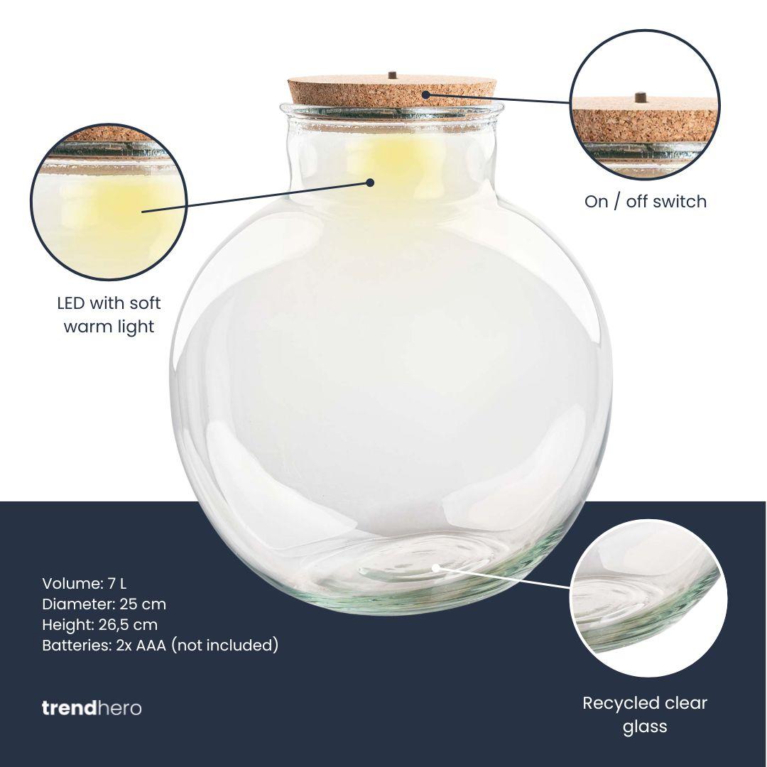 Bouteille terrarium boule en verre recyclé 7 L, Ø 25 cm, bouchon liège ou bouchon LED