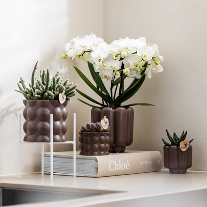 Cache-pot céramique mat texture bulles - douceur cosy - brun