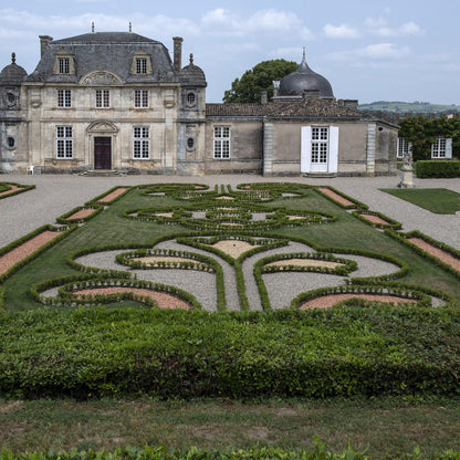 Buxus BetterBuxus Babylon Beauty, haie de buis résistant au mildiou, plantée dans un jardin à la française devant un grand château.